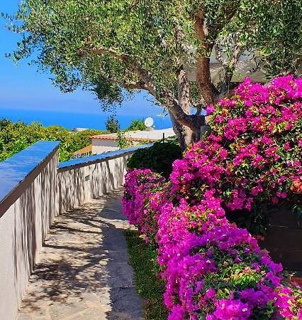 Appartamenti Luongo Forio di Ischia Eksteriør bilde
