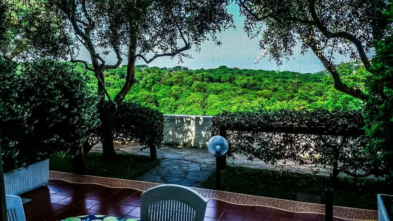 Appartamenti Luongo Forio di Ischia Eksteriør bilde