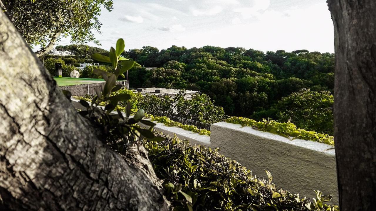 Appartamenti Luongo Forio di Ischia Eksteriør bilde