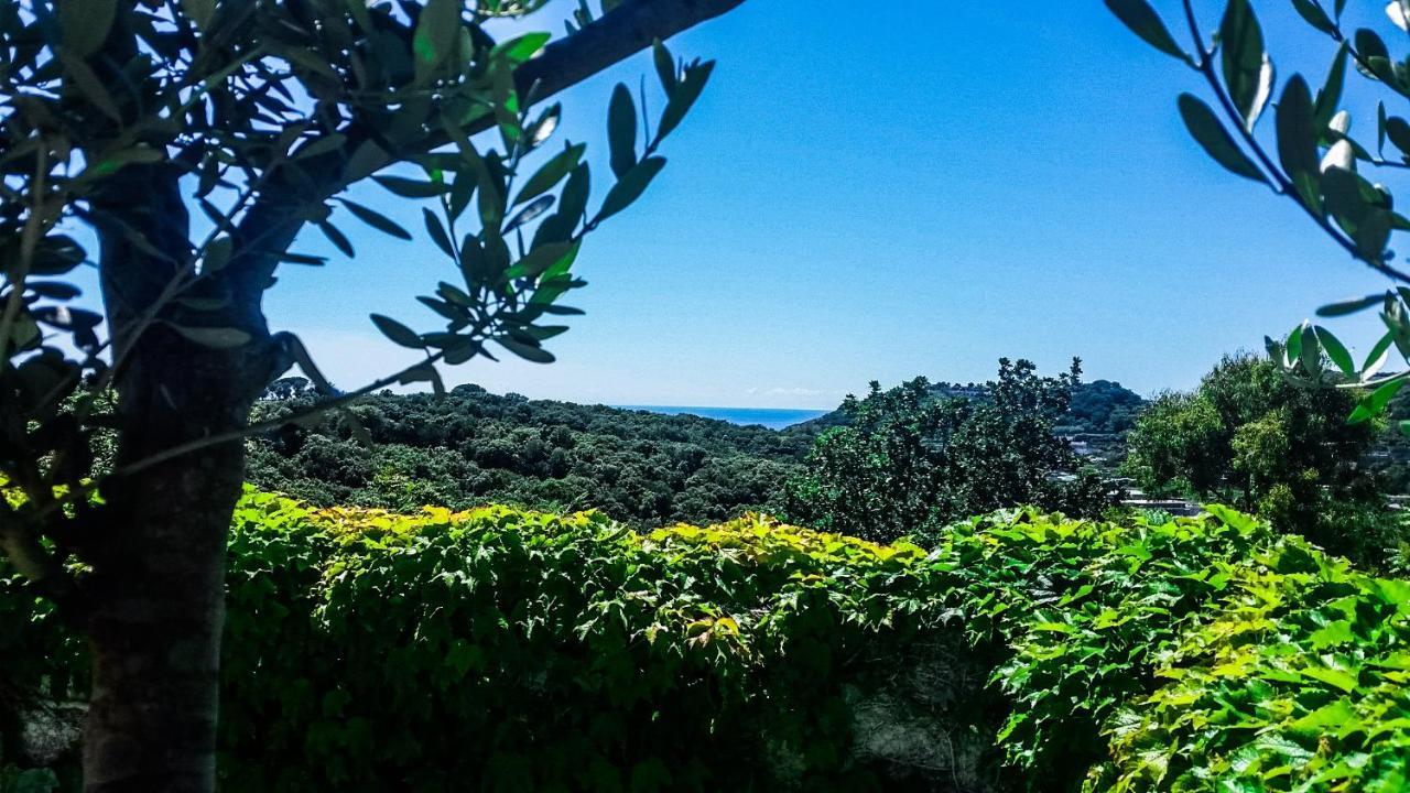Appartamenti Luongo Forio di Ischia Eksteriør bilde