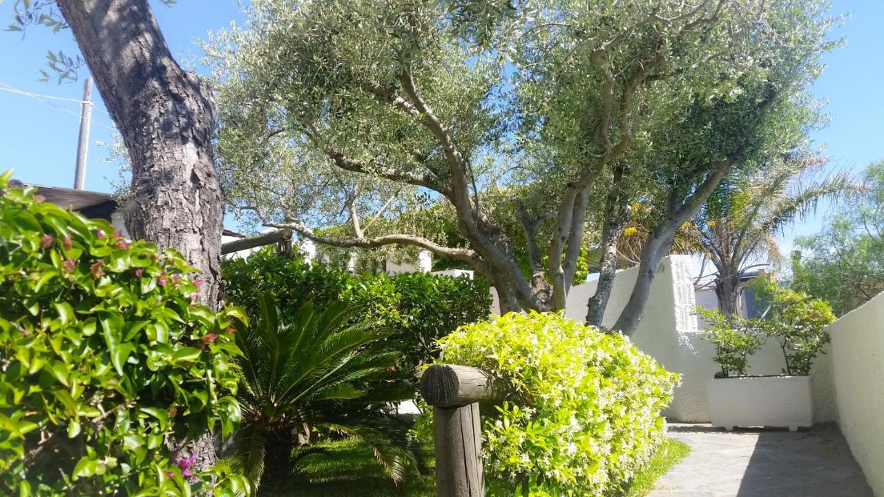 Appartamenti Luongo Forio di Ischia Eksteriør bilde