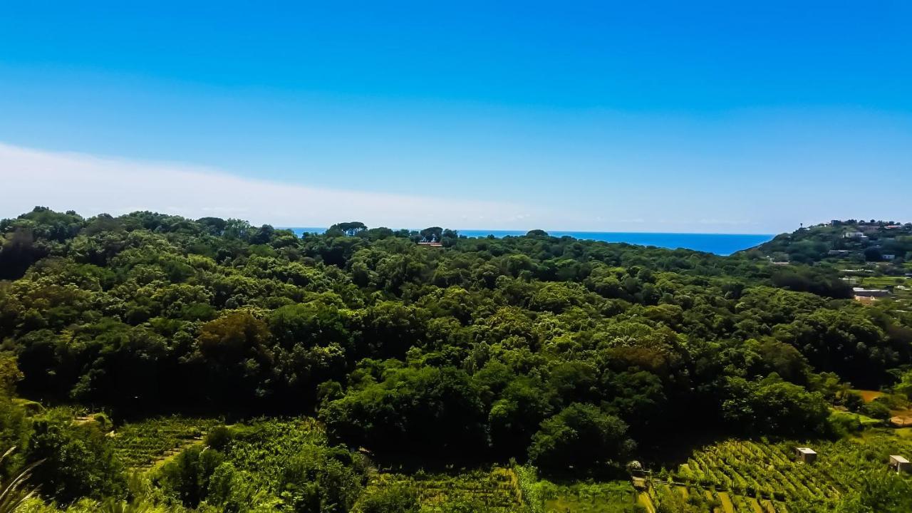 Appartamenti Luongo Forio di Ischia Eksteriør bilde