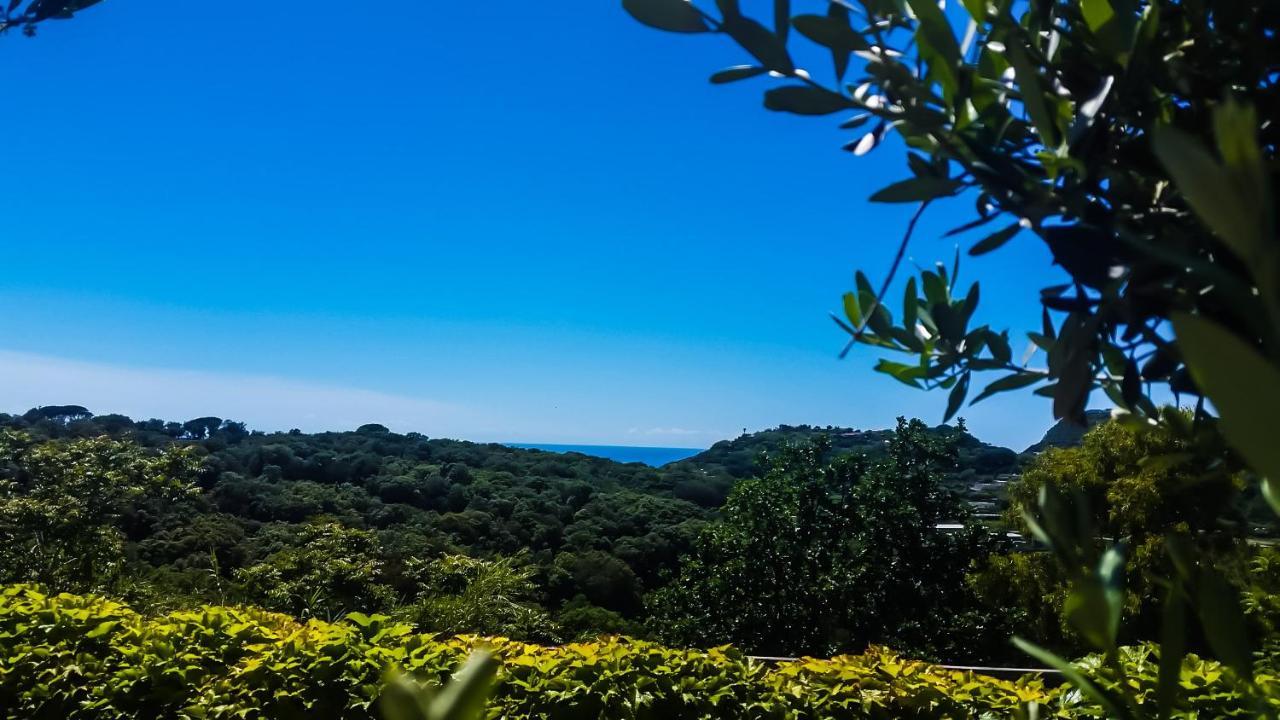 Appartamenti Luongo Forio di Ischia Eksteriør bilde