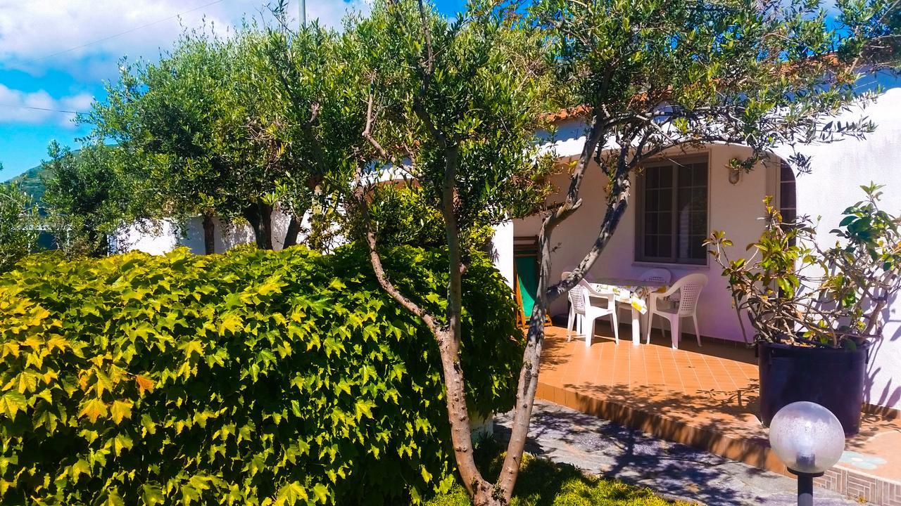 Appartamenti Luongo Forio di Ischia Eksteriør bilde